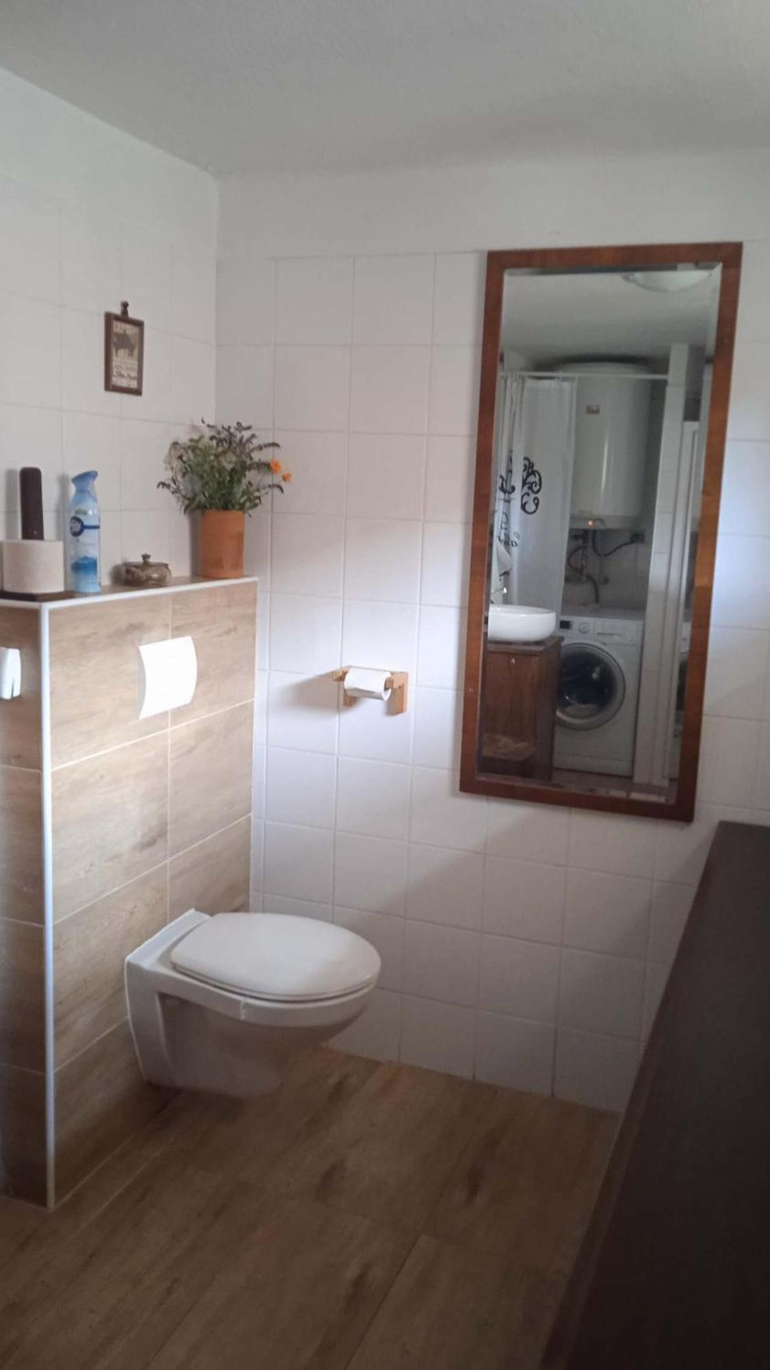 Mala Turna Apartment Strakonice