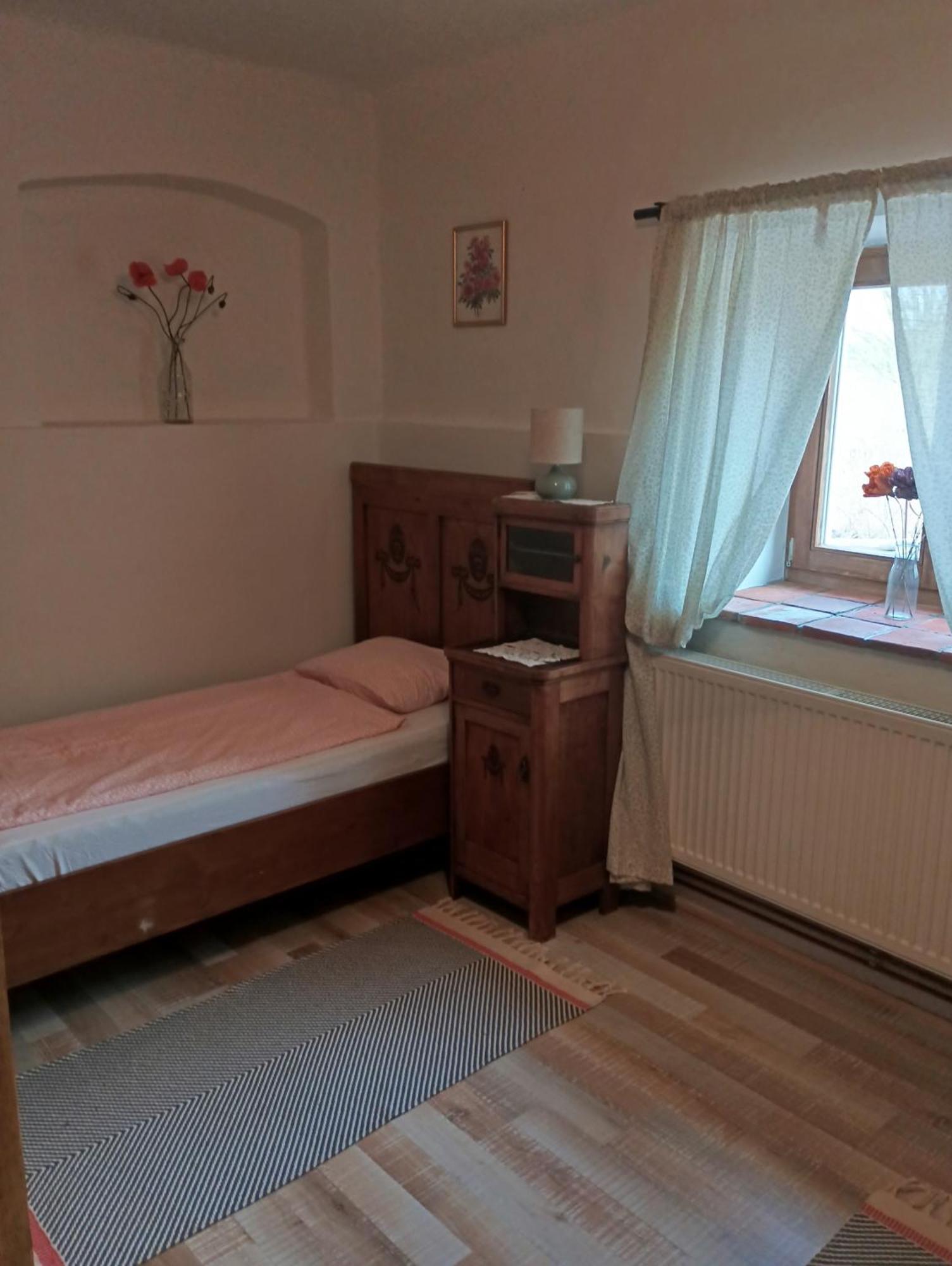 Apartment Mala Turna Strakonice